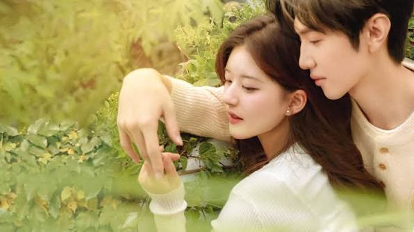 Hidden love poster